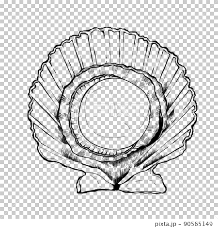 Glib shell Glib shell 90565149