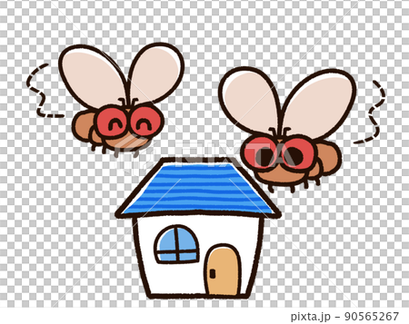 Drosophila gathering at home Drosophila gathering at home 90565267