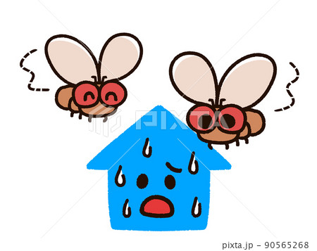 家に集まるショウジョウバエたち 90565268