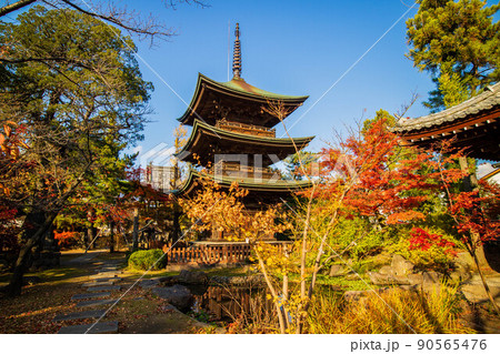 秋の信州上田 紅葉の信濃国分寺 三重塔 秋の信州上田 紅葉の信濃国分寺 三重塔 90565476