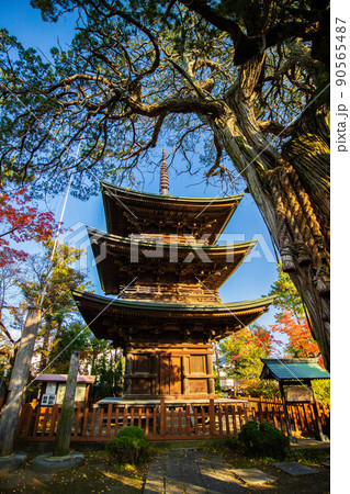 秋の信州上田 紅葉の信濃国分寺 三重塔 秋の信州上田 紅葉の信濃国分寺 三重塔 90565487