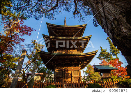 秋の信州上田　紅葉の信濃国分寺　三重塔 90565672