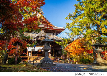 秋の信州上田 紅葉の信濃国分寺 本堂 秋の信州上田 紅葉の信濃国分寺 本堂 90565675