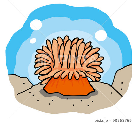 海の生物 磯の生き物 岩場のかわいいイソギンチャクのイラスト素材