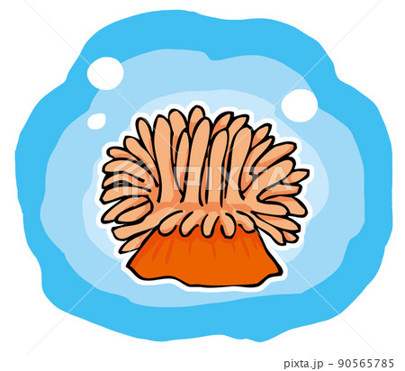 海の生物 磯の生き物 かわいいイソギンチャクのイラスト素材