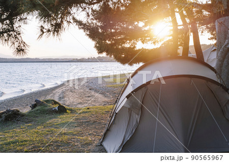 湖畔のキャンプ場 親沢公園 涸沼 湖畔のキャンプ場 親沢公園 涸沼 90565967