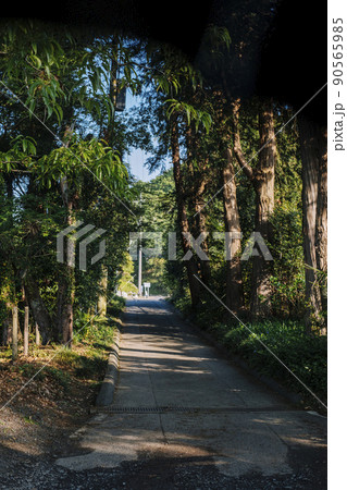 湖畔のキャンプ場 親沢公園 涸沼 湖畔のキャンプ場 親沢公園 涸沼 90565985