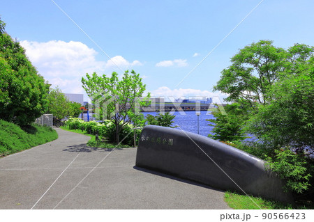 お台場水の広場公園 紫陽花と大観覧車 お台場水の広場公園 紫陽花と大観覧車 90566423