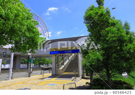 お台場水の広場公園　紫陽花と大観覧車 90566425