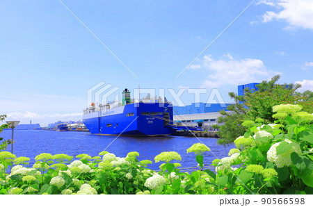 お台場水の広場公園　紫陽花と大観覧車 90566598