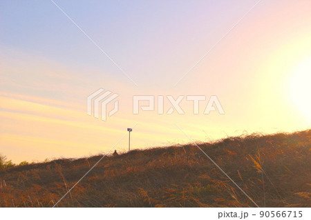 夕焼けの土手 夕焼けの土手 90566715