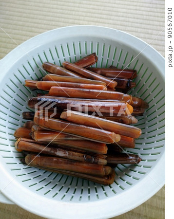 ザルに盛られたマテガイ（Razor Clams Drained and Ready to Cook） 90567010