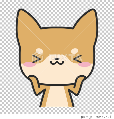 上半身害羞的柴犬 90567691