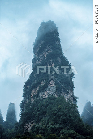 Amazing landscape of mountain and forest in the foggy at Wulingyuan, Hunan, China. Wulingyuan Scenic and Historic Interest Area which was designated a UNESCO World Heritage Site in China Amazing landscape of mountain and forest in the foggy at Wulingyuan, Hunan, China. Wulingyuan Scenic and Historic Interest Area which was designated a UNESCO World Heritage Site in China 90568158