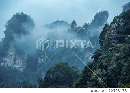Amazing landscape of mountain and forest in the foggy at Wulingyuan, Hunan, China. Wulingyuan Scenic and Historic Interest Area which was designated a UNESCO World Heritage Site in China Amazing landscape of mountain and forest in the foggy at Wulingyuan, Hunan, China. Wulingyuan Scenic and Historic Interest Area which was designated a UNESCO World Heritage Site in China 90568178