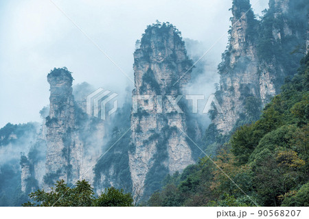 Amazing landscape of mountain and forest in the foggy at Wulingyuan, Hunan, China. Wulingyuan Scenic and Historic Interest Area which was designated a UNESCO World Heritage Site in China Amazing landscape of mountain and forest in the foggy at Wulingyuan, Hunan, China. Wulingyuan Scenic and Historic Interest Area which was designated a UNESCO World Heritage Site in China 90568207