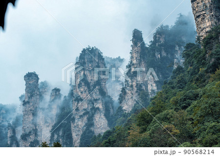 Amazing landscape of mountain and forest in the foggy at Wulingyuan, Hunan, China. Wulingyuan Scenic and Historic Interest Area which was designated a UNESCO World Heritage Site in China Amazing landscape of mountain and forest in the foggy at Wulingyuan, Hunan, China. Wulingyuan Scenic and Historic Interest Area which was designated a UNESCO World Heritage Site in China 90568214
