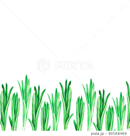 Green onions banner. Watercolor illustration. Isolated on a white background. For your design. Green onions banner. Watercolor illustration. Isolated on a white background. For your design. 90568469