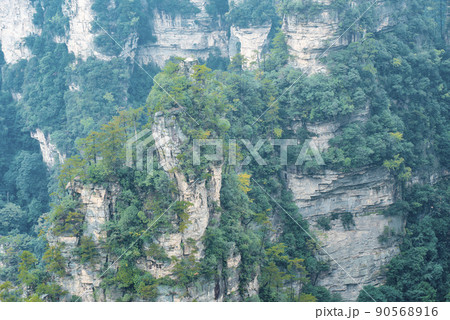 Amazing landscape of mountain and forest in the foggy at Wulingyuan, Hunan, China. Wulingyuan Scenic and Historic Interest Area which was designated a UNESCO World Heritage Site in China 90568916