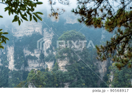 Amazing landscape of mountain and forest in the foggy at Wulingyuan, Hunan, China. Wulingyuan Scenic and Historic Interest Area which was designated a UNESCO World Heritage Site in China Amazing landscape of mountain and forest in the foggy at Wulingyuan, Hunan, China. Wulingyuan Scenic and Historic Interest Area which was designated a UNESCO World Heritage Site in China 90568917