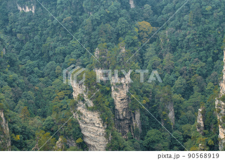 Amazing landscape of mountain and forest in the foggy at Wulingyuan, Hunan, China. Wulingyuan Scenic and Historic Interest Area which was designated a UNESCO World Heritage Site in China Amazing landscape of mountain and forest in the foggy at Wulingyuan, Hunan, China. Wulingyuan Scenic and Historic Interest Area which was designated a UNESCO World Heritage Site in China 90568919