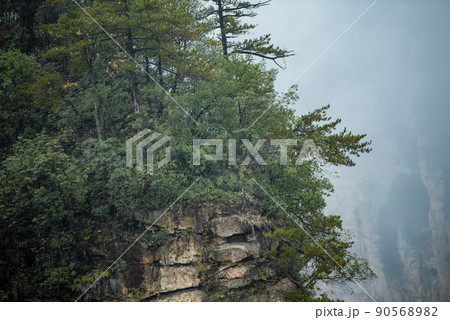 Amazing landscape of mountain and forest in the foggy at Wulingyuan, Hunan, China. Wulingyuan Scenic and Historic Interest Area which was designated a UNESCO World Heritage Site in China 90568982
