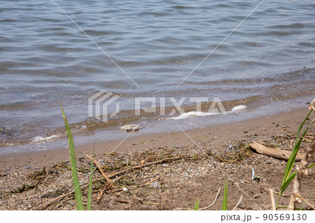 波打ち際 beach 波打ち際 beach 90569130