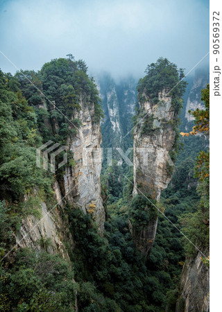 Amazing landscape of mountain and forest in the foggy at Wulingyuan, Hunan, China. Wulingyuan Scenic and Historic Interest Area which was designated a UNESCO World Heritage Site in China Amazing landscape of mountain and forest in the foggy at Wulingyuan, Hunan, China. Wulingyuan Scenic and Historic Interest Area which was designated a UNESCO World Heritage Site in China 90569372