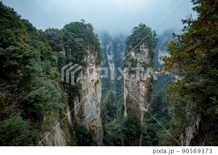 Amazing landscape of mountain and forest in the foggy at Wulingyuan, Hunan, China. Wulingyuan Scenic and Historic Interest Area which was designated a UNESCO World Heritage Site in China Amazing landscape of mountain and forest in the foggy at Wulingyuan, Hunan, China. Wulingyuan Scenic and Historic Interest Area which was designated a UNESCO World Heritage Site in China 90569373