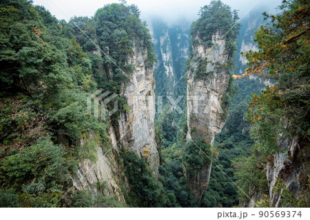 Amazing landscape of mountain and forest in the foggy at Wulingyuan, Hunan, China. Wulingyuan Scenic and Historic Interest Area which was designated a UNESCO World Heritage Site in China Amazing landscape of mountain and forest in the foggy at Wulingyuan, Hunan, China. Wulingyuan Scenic and Historic Interest Area which was designated a UNESCO World Heritage Site in China 90569374