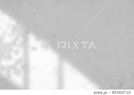 窓辺から差し込む光と植物の影の白い壁背景 90569710