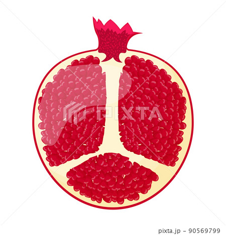 Half of pomegranate isolated on white background. Flat vector illustration Half of pomegranate isolated on white background. Flat vector illustration 90569799