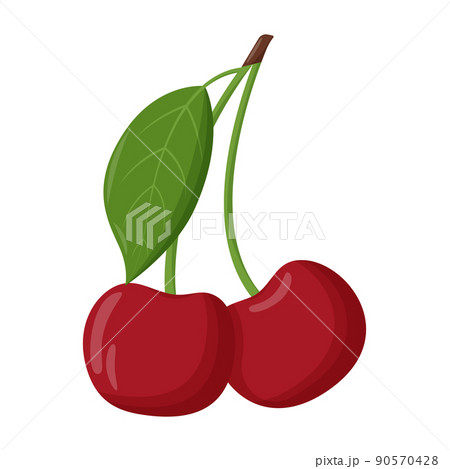 Whole red cherry with green leaf isolated on white background. Flat vector illustration 90570428