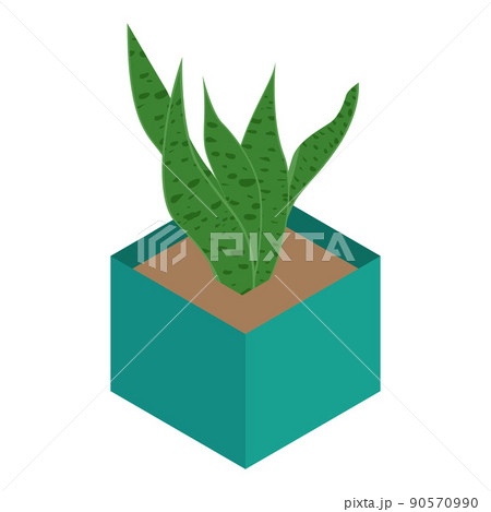 Isometric flower in pot isolated on white background. Home plant for home interior decoration Isometric flower in pot isolated on white background. Home plant for home interior decoration 90570990