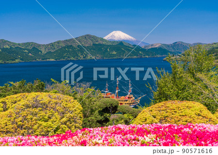 （神奈川県）ツツジ咲く箱根恩賜公園から眺める遊覧船と富士山 90571616