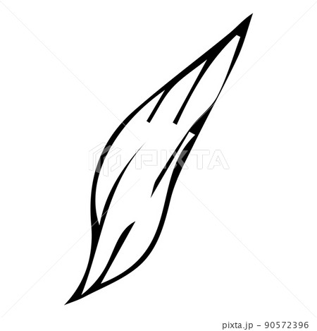 Floral plant, branch in doodle style isolated on white background. Elegant design decoration, element.  90572396