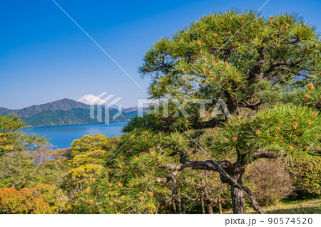 （神奈川県）新緑の箱根恩賜公園から眺める富士山 90574520
