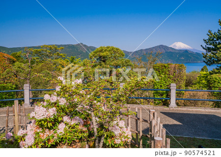 (神奈川県)新緑の箱根恩賜公園から眺める富士山 (神奈川県)新緑の箱根恩賜公園から眺める富士山 90574521