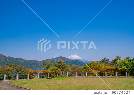 (神奈川県)新緑の箱根恩賜公園から眺める富士山 (神奈川県)新緑の箱根恩賜公園から眺める富士山 90574524