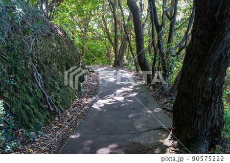 《愛媛県》佐多岬・佐多岬灯台・砲台レプリカ・御籠島展望所・御籠島・砲台跡 90575222