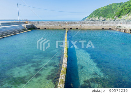 《愛媛県》佐多岬・佐多岬灯台・砲台レプリカ・御籠島展望所・御籠島・砲台跡 90575236