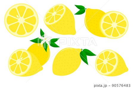 レモンのベクターイラスト 90576483