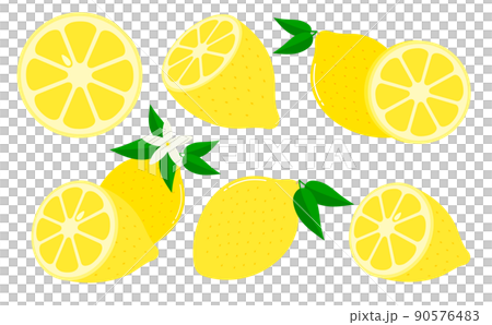 レモンのベクターイラスト 90576483