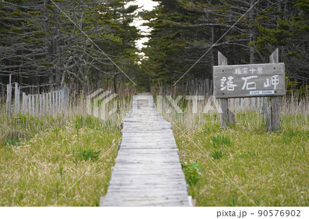 北海道根室市　落石岬から一直線に延びる木道 90576902