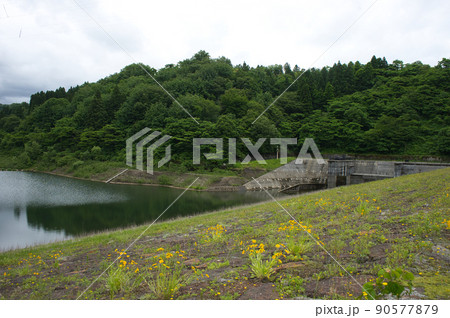 六月の大谷ダム 富山県黒部市 六月の大谷ダム 富山県黒部市 90577879