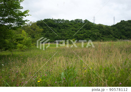 六月の大谷ダム公園 富山県黒部市 六月の大谷ダム公園 富山県黒部市 90578112