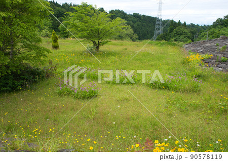 六月の大谷ダム公園 富山県黒部市 六月の大谷ダム公園 富山県黒部市 90578119