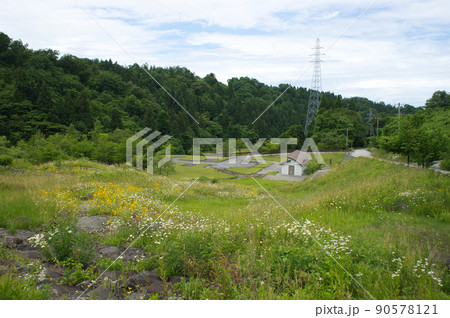 六月の大谷ダム公園 富山県黒部市 六月の大谷ダム公園 富山県黒部市 90578121