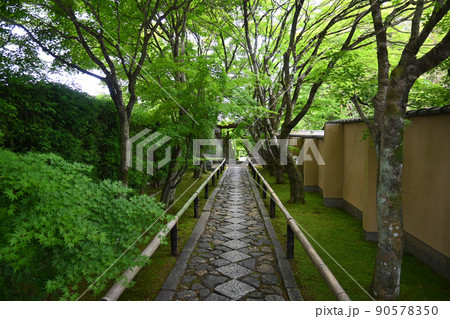 初夏に参拝した京都市の光悦寺参道が美しい 初夏に参拝した京都市の光悦寺参道が美しい 90578350