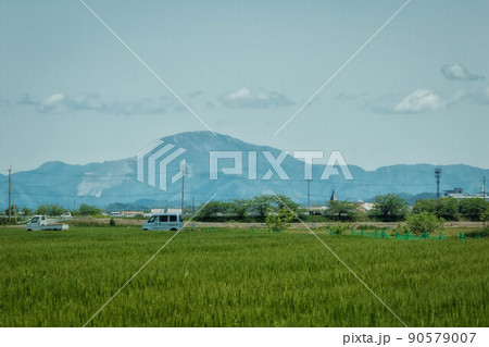初夏の小麦畑と滋賀の名峰、伊吹山が見える田園風景 初夏の小麦畑と滋賀の名峰、伊吹山が見える田園風景 90579007